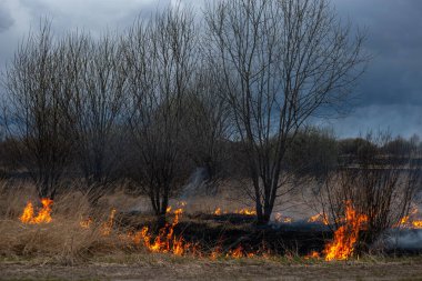 Bahar akşamları otobanın yanında kuru otlar yanar.