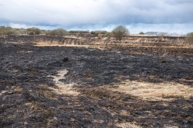 Bahar akşamları otobanın yanında kuru otlar yanar.