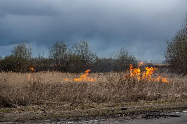 Bahar akşamları otobanın yanında kuru otlar yanar.