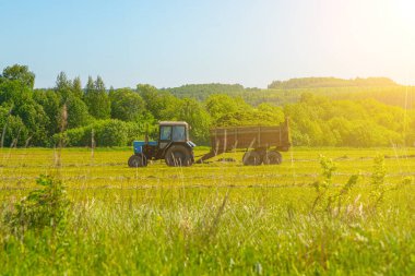 Sığırlara bileşik yem hazırlamak için hasatçıları ve traktörlerle taşımacılığı birleştirmek