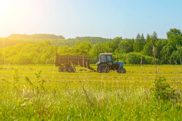 Bereiding Van Mengvoeders Voor Runderen Door Maaidorsers Combineren Het Vervoer — Stockfoto