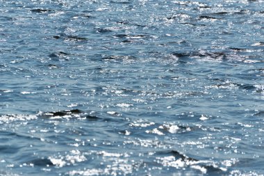 Yazın güneşli bir günde sakin bir havada gölün yüzeyindeki küçük dalgalar.