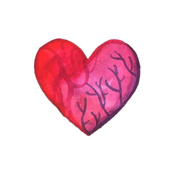 Aquarell Herz am Valentinstag. Vektorillustration. — Stockvektor