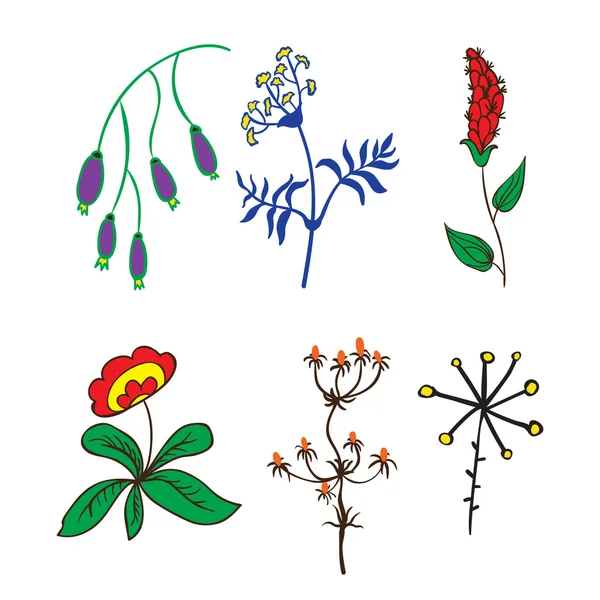 Illustration vectorielle dessinée par des plantes à main. Plante isolée sur fond blanc . — Image vectorielle