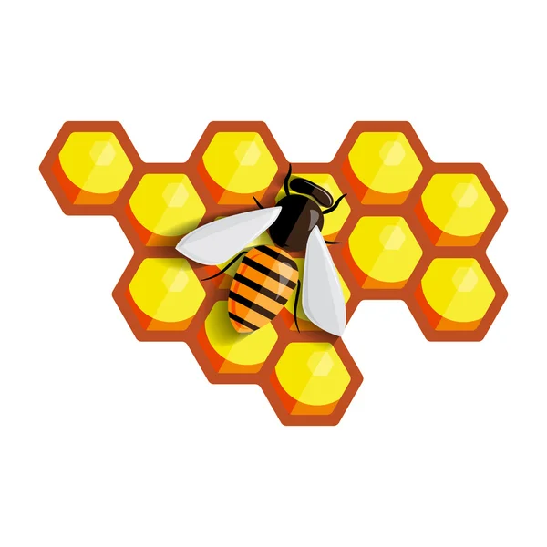 Vector Bee Honeycombs — Stock Vector