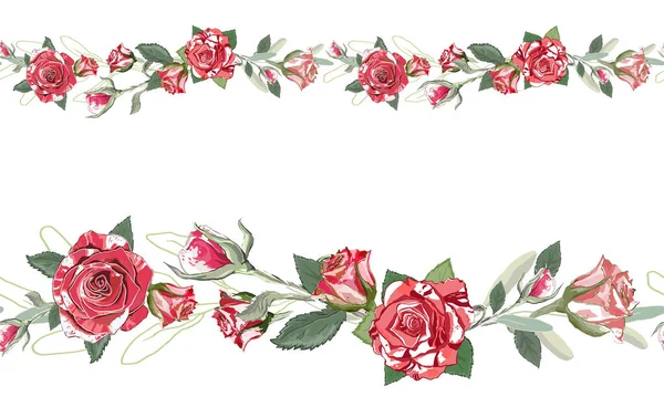 Απρόσκοπτα Συνοριακά Τριαντάφυλλα Λευκό Φόντο Εικονογράφηση Διανύσματος Vintage Ανθικά Στοιχεία — Διανυσματικό Αρχείο