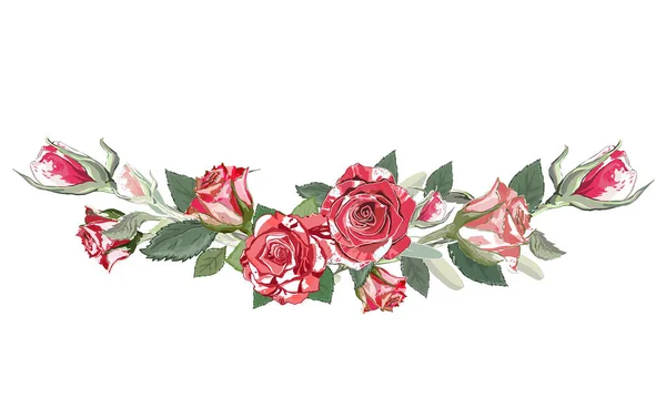 Rose Confine Sfondo Bianco Illustrazione Vettoriale Elementi Floreali Vintage Utilizzare — Vettoriale Stock