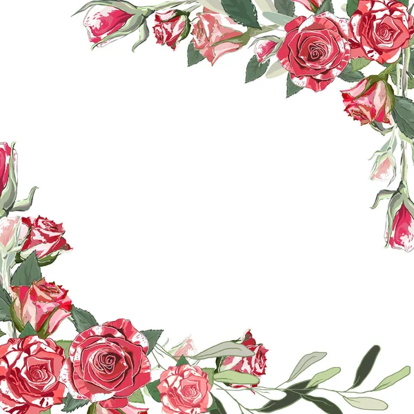 Шаблон Поздравлений Свадебные Открытки Красных Белых Роз Листьями Зелеными Ветвями — стоковый вектор