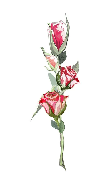 Dekoratív Vörös Rózsákkal Dekorációs Elem Matrica Tetoválás Fehér Háttérrel Elszigetelve — Stock Vector