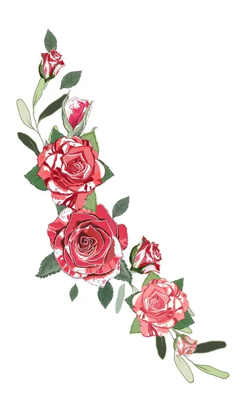 Virágos Határ Vörös Fehér Rózsák Levelekkel Zöld Ágakkal Elszigetelt Elem — Stock Vector