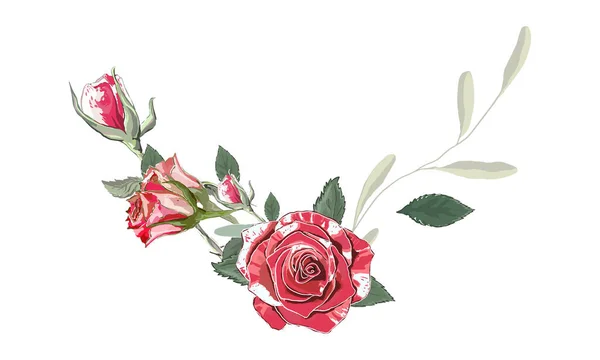 Rose Confine Sfondo Bianco Ghirlanda Decorazione Decorazione Del Testo Illustrazione — Vettoriale Stock