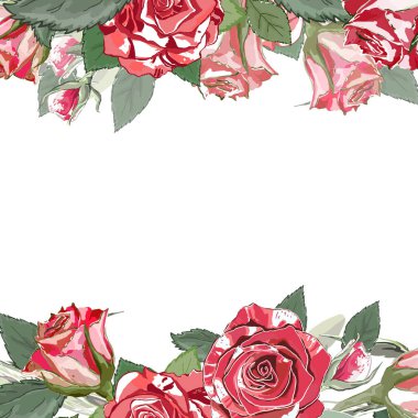 Çiçek deseni, çerçeve. Kare beyaz arka plan. Yaprakları ve yeşil dalları olan kırmızı ve beyaz güller. Vektör çizimi. Düğün için. Sevgililer Günü. 8 Mart. Selamlama olarak kullanın, düğün kartları, vs..