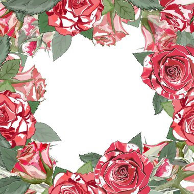 Çiçek çerçevesi. Kare arka plan. Yaprakları ve yeşil dalları olan kırmızı ve beyaz güller. Vektör çizimi. Düğün için. Sevgililer Günü. 8 Mart. Selamlama olarak kullanın, düğün kartları, vs..