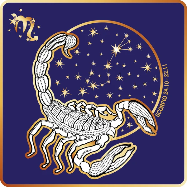 Horoscope.Scorpio 黄道十二宫 — 图库照片