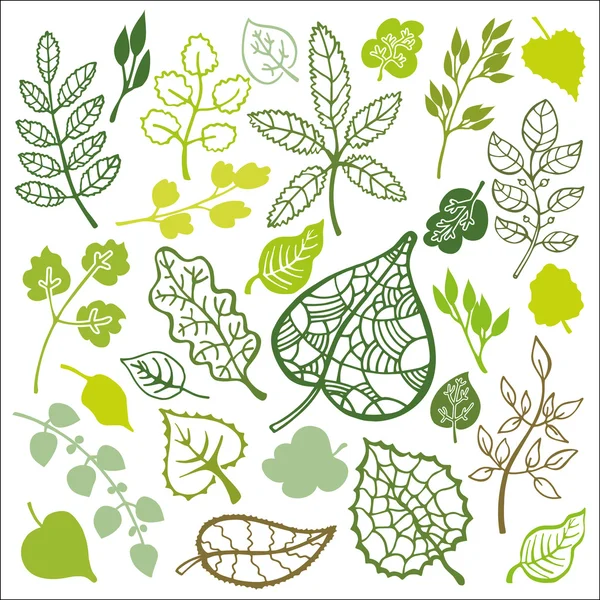 Lente groene takken en bladeren — Stockfoto