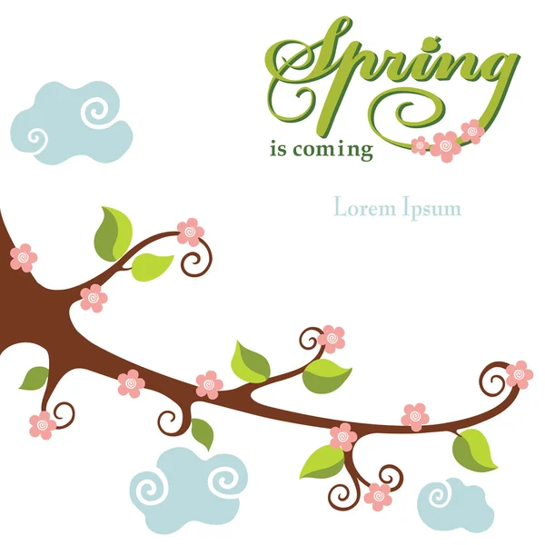 Spring flowering branch background — Stock Photo, Image