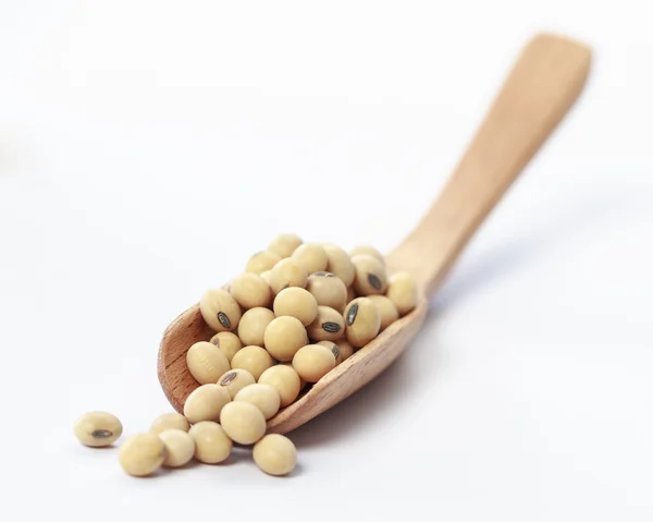 Soybean isolated on white background — Stock Photo, Image