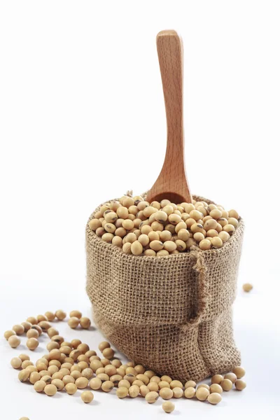 Soya fasulyesi beyaz arkaplanda izole