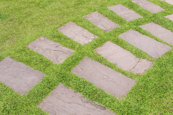 Kamienny chodnik uzwojenia w ogrodzie — Zdjęcie stockowe