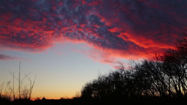 Nuvens lindas flutuantes no céu acima das árvores. lapso de tempo durante o pôr do sol com nuvens vívidas . — Vídeo de Stock