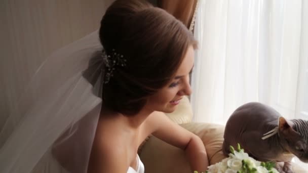 Bride with her beloved cat on your wedding day. My favorite cat on the wedding day. Farewell to the only friend on your wedding day. — Stock Video