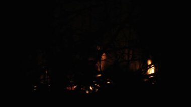 Orman yangını, gece sonu. Ağaçların arasından geceleri ateş. Ormanda geceleri ateş.