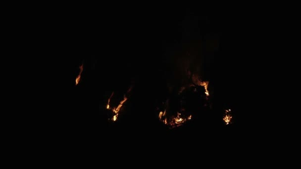 Fin du feu de forêt la nuit. Feu à travers les arbres la nuit. Feu dans la forêt la nuit .