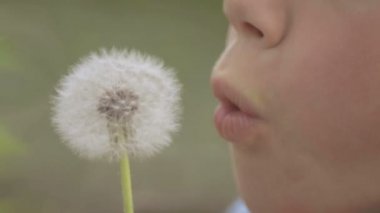 Bir çiçek karahindiba ile bir çocuk portresi. Yüz yakın çekim çocuk karahindiba ile. Duygusal bir Avrupa genç bir çiçek karahindiba ile portresi.