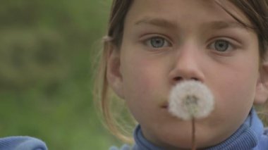 Bir baba ve oğul çiçek karahindiba ile portresi. Sakallı baba oğluyla oynamaya. Sakallı adam bir karahindiba üfleyen bir çocuk ile. 