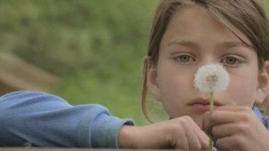 Bir baba ve oğul çiçek karahindiba ile portresi. Sakallı baba oğluyla oynamaya. Sakallı adam bir karahindiba üfleyen bir çocuk ile. 