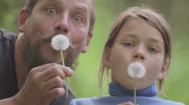 Bir baba ve oğul çiçek karahindiba ile portresi. Sakallı baba oğluyla oynamaya. Sakallı adam bir karahindiba üfleyen bir çocuk ile. 