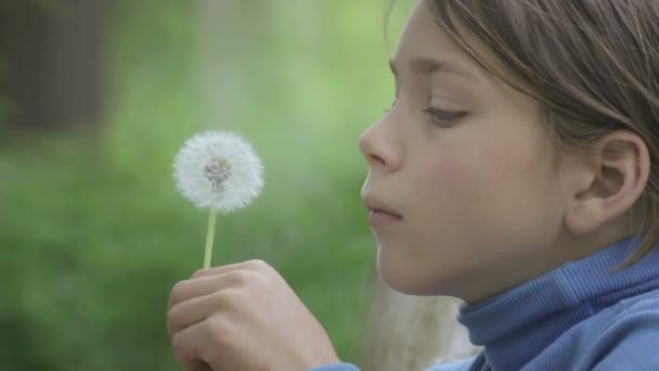 Portrait of a father and son with a flower dandelion. The bearded father playing with his son. The bearded man with a child blowing on a dandelion. — Stock Video