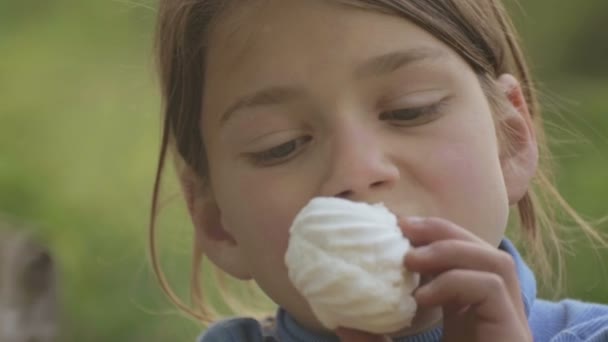 O rapaz come marshmallows ao ar livre. Retrato de uma criança de pele branca com marshmallows na mão. O menino come uma sobremesa doce . — Vídeo de Stock