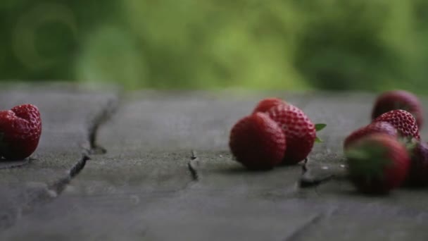 Fresas frescas cayendo sobre la mesa. Fruta de fresa roja extendida sobre la mesa . — Vídeo de stock