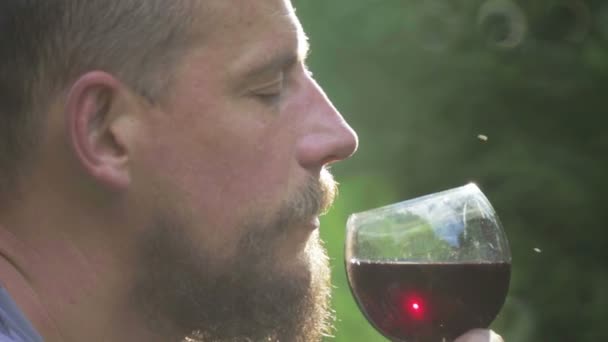 Retrato de um homem barbudo com um copo de vinho tinto. Um homem barbudo com um copo de vinho tinto. Prova de vinho barbudo, fabricante de vinho . — Vídeo de Stock