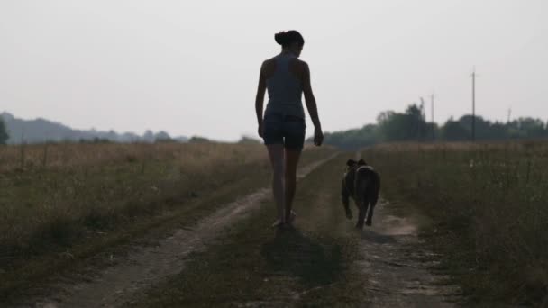 개는 자연에서 젊은 여자. 필드에는 테리어를 산책 하는 소녀. 시골에서 강아지와 함께 산책. — 비디오