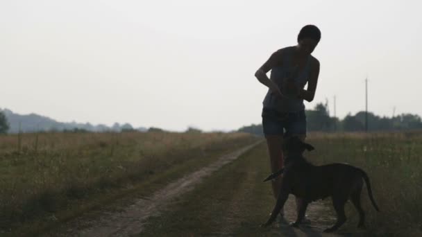 自然界中的狗的年轻女人。小女孩走在一个字段的梗类犬。与一只狗在乡下散步. — 图库视频影像