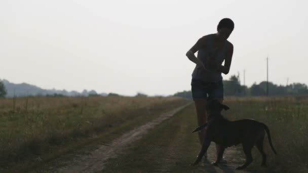 Jonge vrouw met hond in de natuur. Meisje lopen een terriër in een veld. Wandelen met een hond op het platteland. — Stockvideo