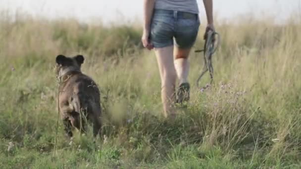 Jonge vrouw met hond in de natuur. Meisje lopen een terriër in een veld. Wandelen met een hond op het platteland. — Stockvideo