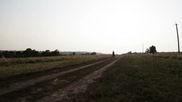 Mujer joven con perro en la naturaleza. Chica caminando un terrier en un campo. Paseando con un perro en el campo . — Vídeos de Stock