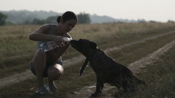 ボトルを持つ若い女性は骨抜き犬です。テリアは、ボトルから水を飲む。歌う犬の手を持つ少女. — ストック動画