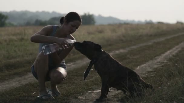 Jovem com uma garrafa de regou o cão. Terrier água potável de uma garrafa. Menina com as mãos cantando cão . — Vídeo de Stock