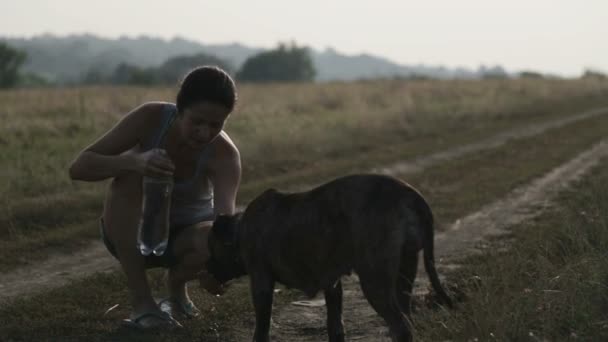 Jovem com uma garrafa de regou o cão. Terrier água potável de uma garrafa. Menina com as mãos cantando cão . — Vídeo de Stock