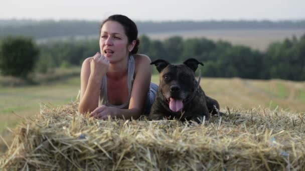 Uma jovem com um cão na manjedoura. Retrato de uma rapariga num campo com um terrier. Pessoas, Natureza, Animais de estimação , — Vídeo de Stock