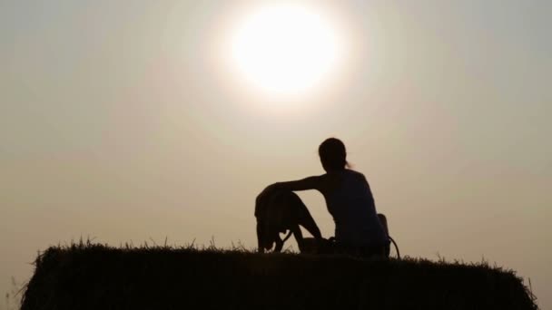 Silhouette eines jungen Mädchens mit Hund in der Krippe. Frau mit Terrier auf einem Feld bei Sonnenuntergang. — Stockvideo