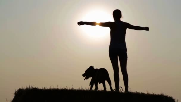 Silueta de una joven con un perro en el pesebre. Mujer con terrier en un campo al atardecer . — Vídeo de stock