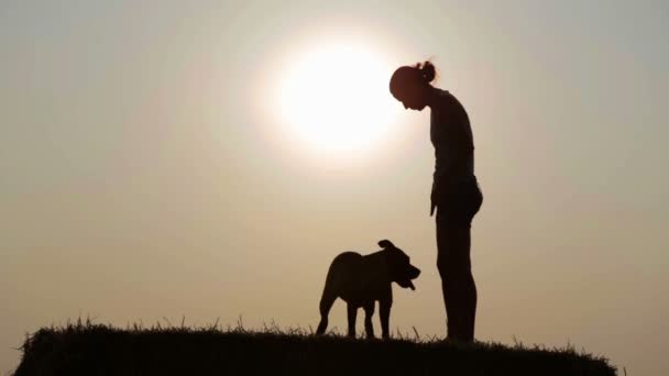 Silhuetten av en ung flicka med en hund i den krubba. Kvinna med terrier i ett fält vid solnedgången. — Stockvideo