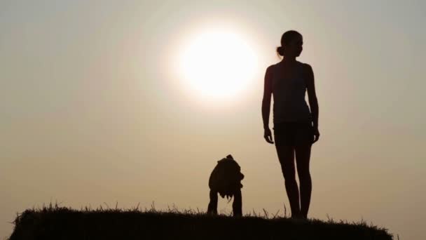 Silhueta de uma jovem com um cão na manjedoura. Mulher com terrier em um campo no por do sol . — Vídeo de Stock