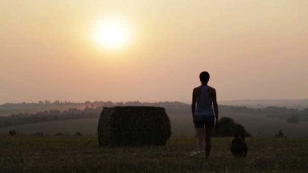 Donna con terrier in un campo al tramonto. Silhouette di una giovane ragazza con un cane nella mangiatoia . — Video Stock