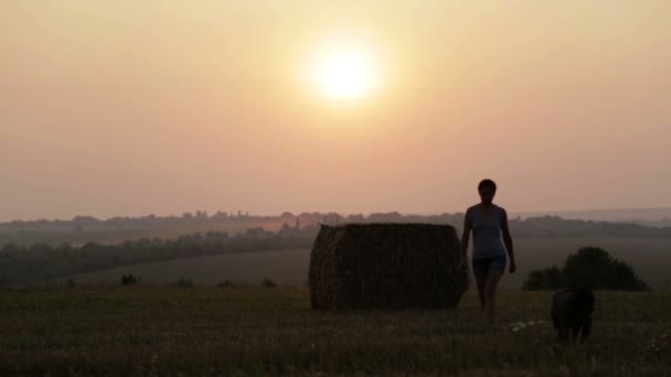 Frau mit Terrier auf einem Feld bei Sonnenuntergang. Silhouette eines jungen Mädchens mit Hund in der Krippe. — Stockvideo